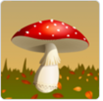 Herfstdrive in Dieteren